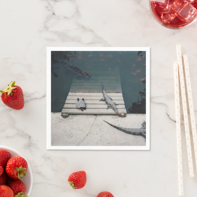 Reptiles Basking Napkins (Insitu)