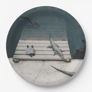 Reptiles Basking Paper Plates