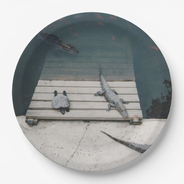 Reptiles Basking Paper Plates (Front)