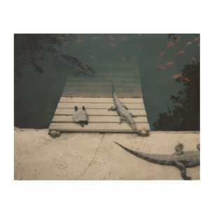 Reptiles Basking Wood Wall Decor
