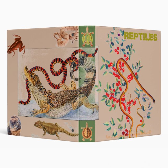 "REPTILES" BINDER (Background)