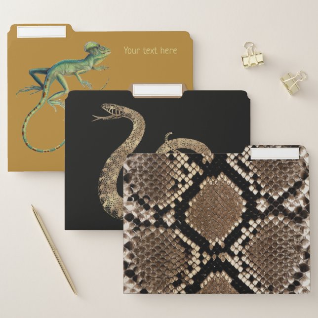 Reptiles - lizzards, snake and snakeskin pattern file folder (Set)