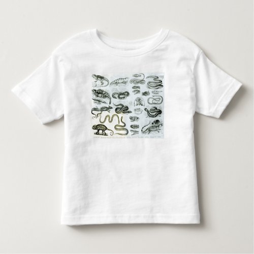 Reptiles Serpents and Lizards Toddler T_shirt