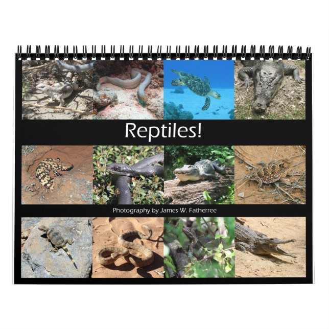 Reptiles Wall Calendar by J.W. Fatherree. (Cover)