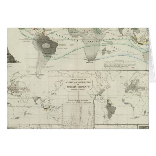 Reptilia, Ophidia (Front Horizontal)