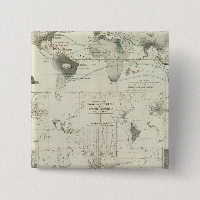 Reptilia, Ophidia Pinback Button (Front)