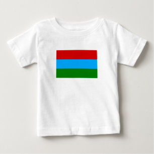 Republic of Karelia Flag Baby T-Shirt