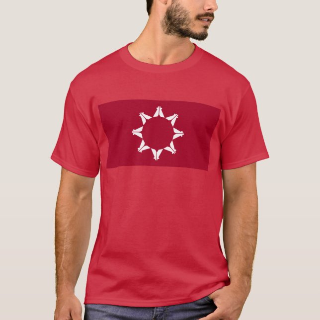 Republic of Lakotah flag T-Shirt (Front)