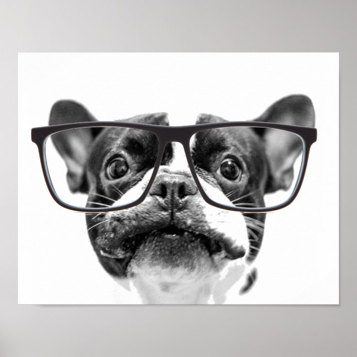 Reputable French Bulldog with Glasses Poster Zazzle