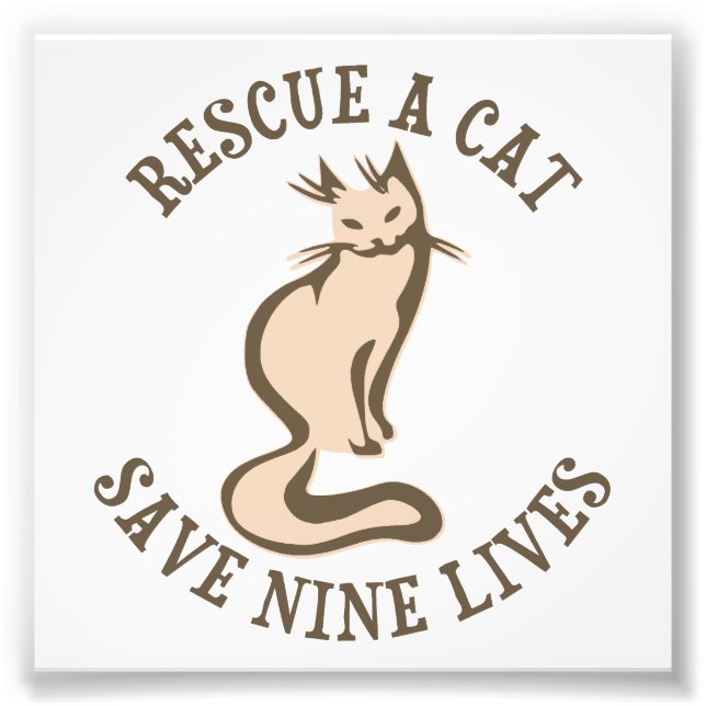 Rescue A Cat Save Nine Lives Photo Print (Front)