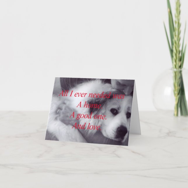 Rescue a needy animal. thank you card (Front)