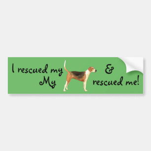 Rescue American Foxhound Bumper Sticker
