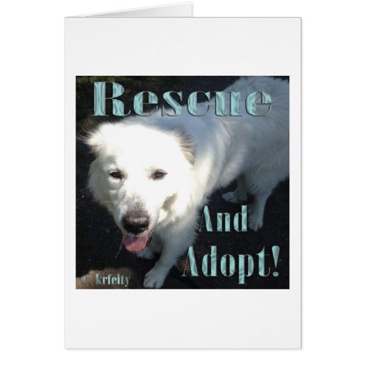 Rescue and Adopt! Cards (Front)