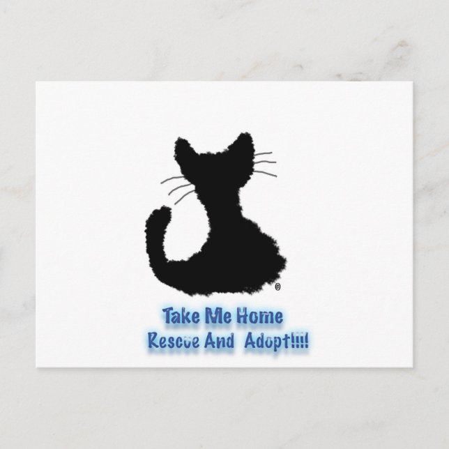 rescue and adopt postcard (Front)