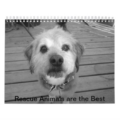 Rescue animals Calendar