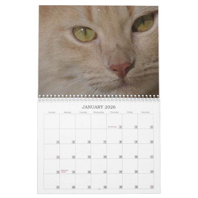 Rescue animals Calendar (Jan 2026)