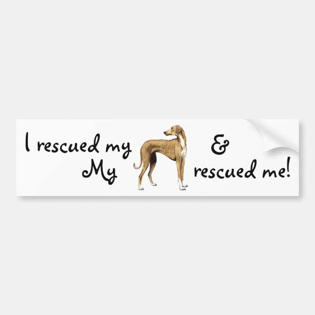 Rescue Azawakh Bumper Sticker (Front)