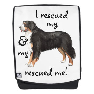 bernese mountain dog backpack