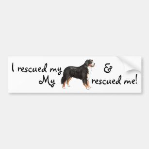 Don't Breed or Buy While Shelter Pets Die 3x10 Bumper Sticker Decal Cat Dog Bird 