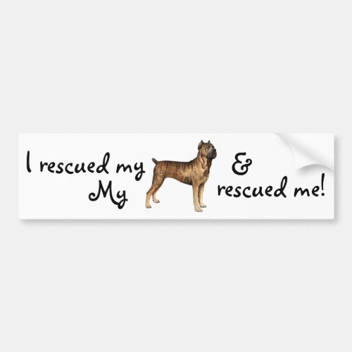 Rescue Cane Corso Bumper Sticker