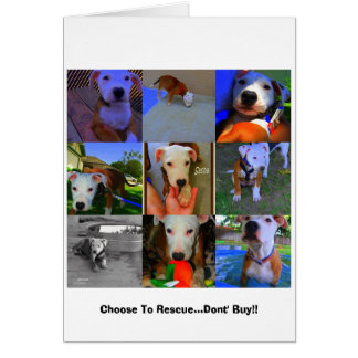 Rescue Cards.. Cards