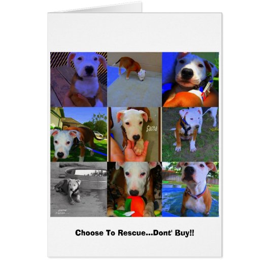 Rescue Cards.. Cards (Front)