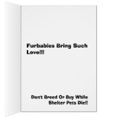 Rescue Cards.. Cards (Inside (Right))