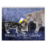 Rescue Cat Calendar - Edition 4