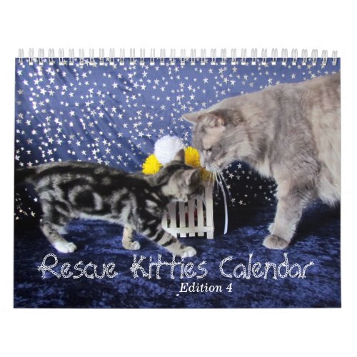 Rescue Cat Calendar _ Edition 4