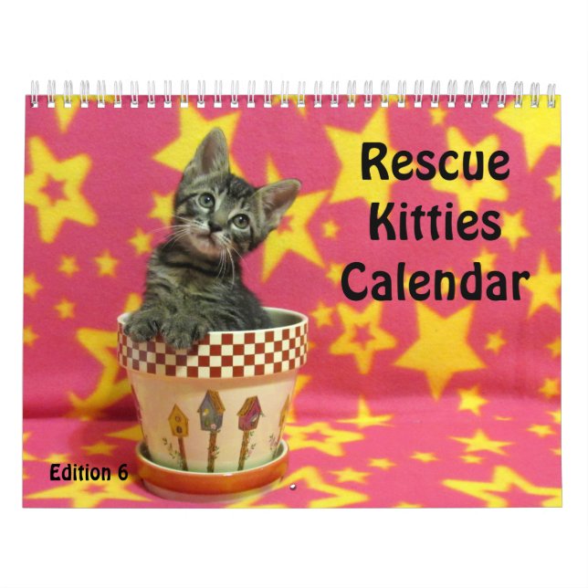 Rescue Cat Calendar - Edition 6 (Cover)