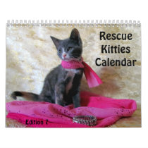 Rescue Cat Calendar - Edition 7