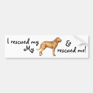 Rescue Chesapeake Bay Retriever Bumper Sticker