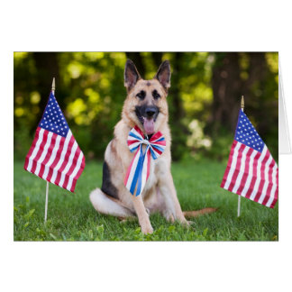 Rescue Dog "Hawk" Cards