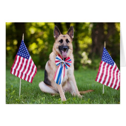 Rescue Dog "Hawk" Cards (Front Horizontal)