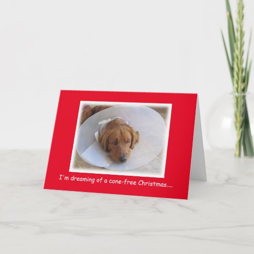 Rescue Dog in Cone Christmas Card