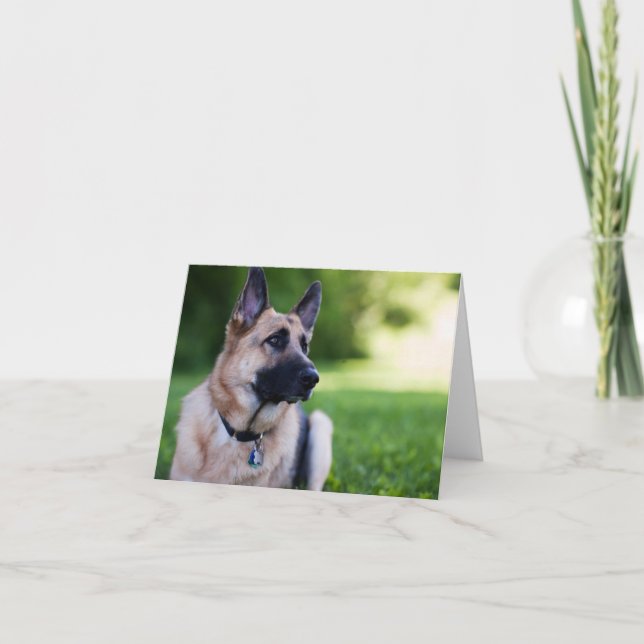 Rescue Dog "Link" Card (Front)