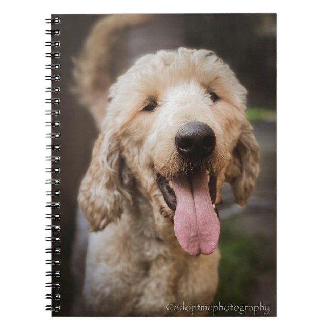Rescue dog smiling standard poodle notebook (Front)
