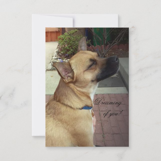 Rescue Dogs 3.5" x 5" Flat Thank You Card (Front)