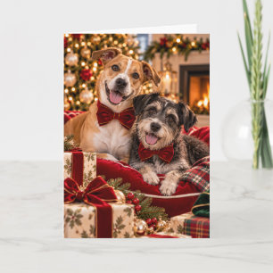 Rescue Dogs Christmas Card