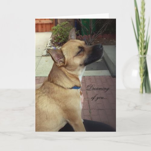 Rescue Dogs Folded Greeting Card