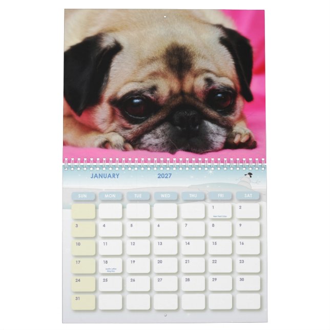 Rescue Dogs II Calendar (Jan 2027)