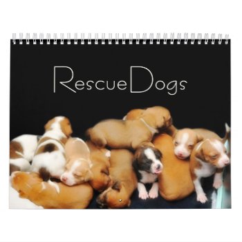 Rescue Dogs Ii Calendar by thehatch at Zazzle