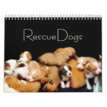 Rescue Dogs Ii Calendar at Zazzle