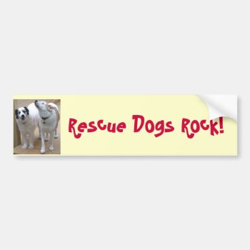 Rescue Dogs Rock! Bumper Sticker by patcallum at Zazzle