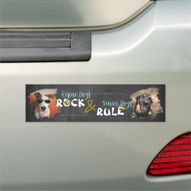 Rescue Dogs Rock & Senior Dogs Rule Car Magnet (In Situ)