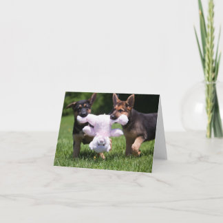 Rescue Dogs "Sammi" and "Rilie" Card