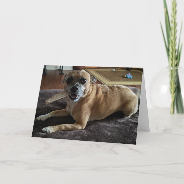 Rescue Dogs Standard, 5" x 7" Folded Greeting Card (Front)