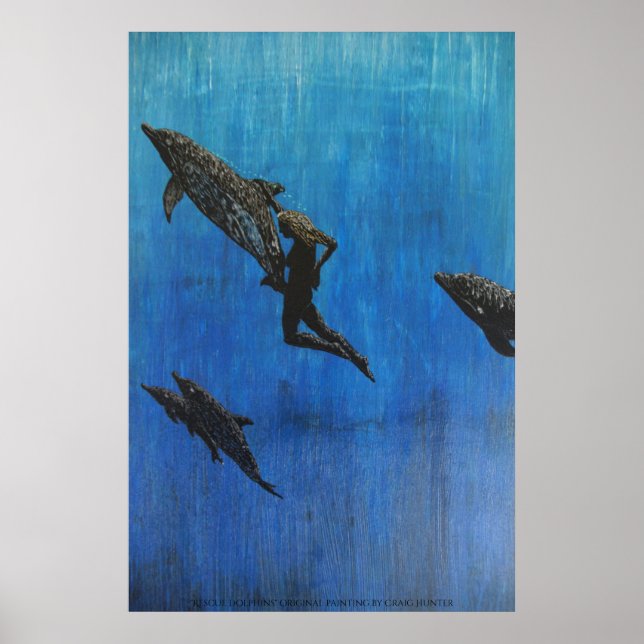 Rescue dolphin's poster (Front)