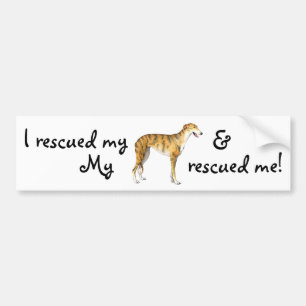 Rescue Greyhound Bumper Sticker