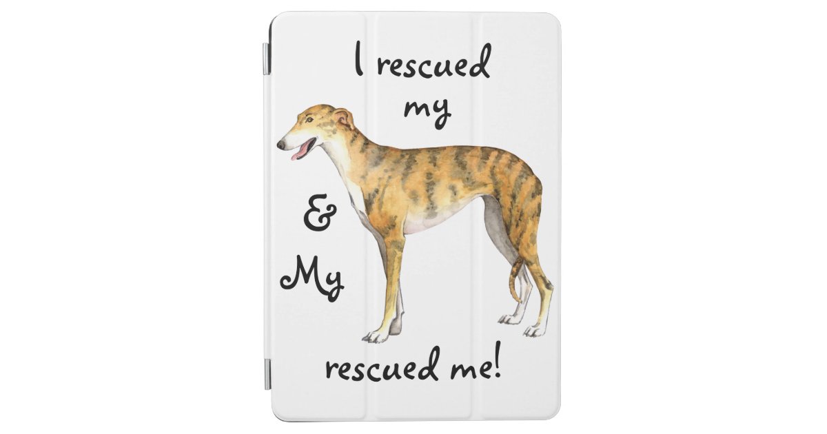 english greyhound race dog T-Shirt, Zazzle